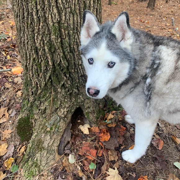 Meet your Posher, Hanna - Picture 13 of 15